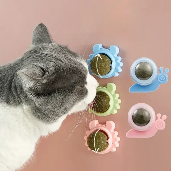 Boule de collation de bonbons naturels pour chats jouet rotatif herbe chat pure dentifrice pour molaires 1